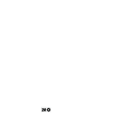 Sponsors et Partenaires Officiels